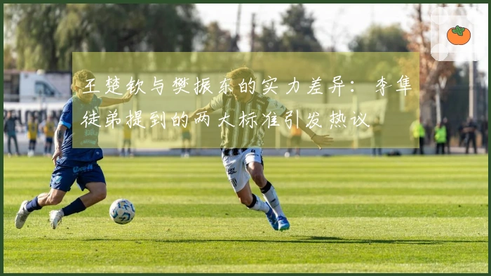 王楚钦与樊振东的实力差异：李隼徒弟提到的两大标准引发热议